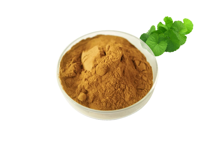 Centella Asiatica Extract Powder